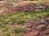 Soweto-20120604-00389