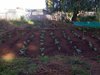 Soweto-20120420-00333